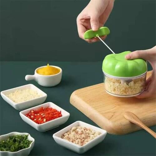 RIGWARL Garlic And Garlic Press