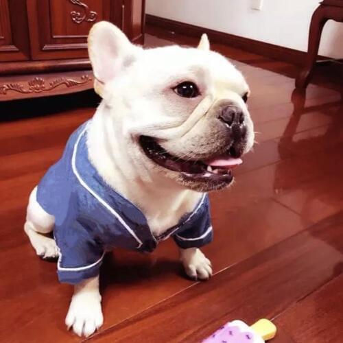 French Bulldog Shirt Pajamas Fashion Pet Dog Summer Clothes For Small Medium Puppy Teddy Dogs Schnauzer Vest Dropshipping WHC04