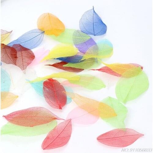 50 Pcs Mixed Color Natural Skeleton Leaves Pressed Flower for Jewelry Making D08 20 Dropshipping