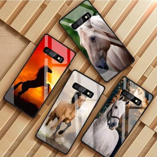 Horse Animal Tempered Glass Phone Case For Samsung Galaxy S8 S9 S10 S20 PLUS J8 J6 J4 2018 NOTE 8 9 10 Cover Shell