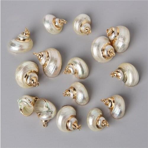 10pcs/Lot White Natural Shell Pendant Conch Shell Charms Pendant For Women DIY Jewelry Necklaces Earring Making Accessorie Gift