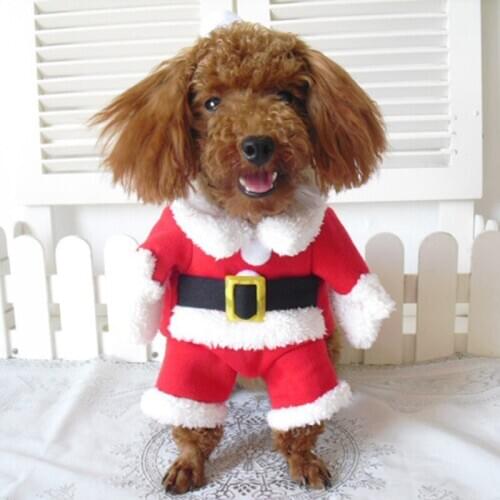 LKEEP Costumes For Dogs