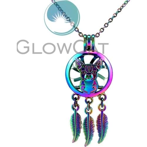CC792 Rainbow Colors Puppy Dog Dream Catcher Beads Cage Pendant Perfume Diffuser Oyster Pearl Cage Locket Necklace