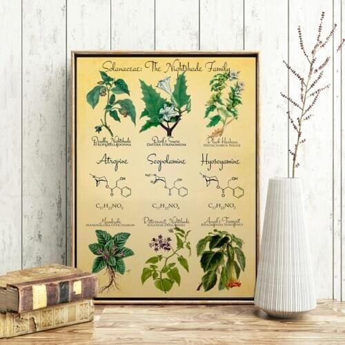 Vintage Botanical Poster Prints Deadly Nightshade Retro Decoration Painting Witchcraft Apothecary Herbs Picture