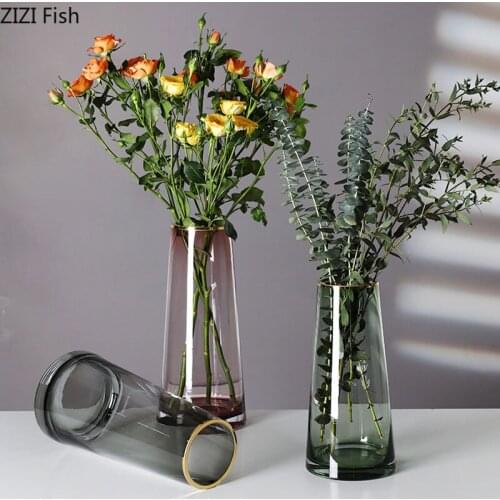 Minimalist Transparent Tabletop Vases Golden Stroke Glass Vase Hydroponics Flower Arrangement Home Decoration Accessories Modern