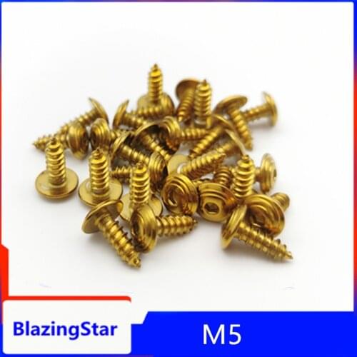 Shell windshield pedal decorative flat hexagon self-drilling screw in the M5 * 15 mm titanium 304 stainless steel 2PCS