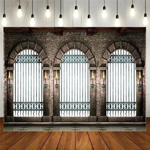 Photography Backdrop Gothic Castle Background Ancient Stone Architecture Pathway Arch Hall Metal Gate Underground Torch