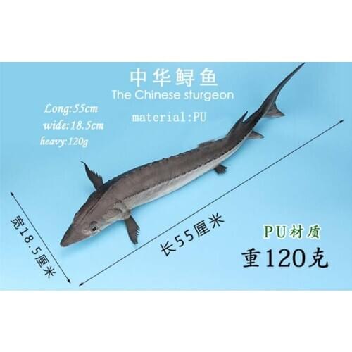 Sturgeon model Simulation Pu Fake Sturgeon Seafood Food Fish Model Baby Toys Model Kitchen Decoration Props Teaching Materials
