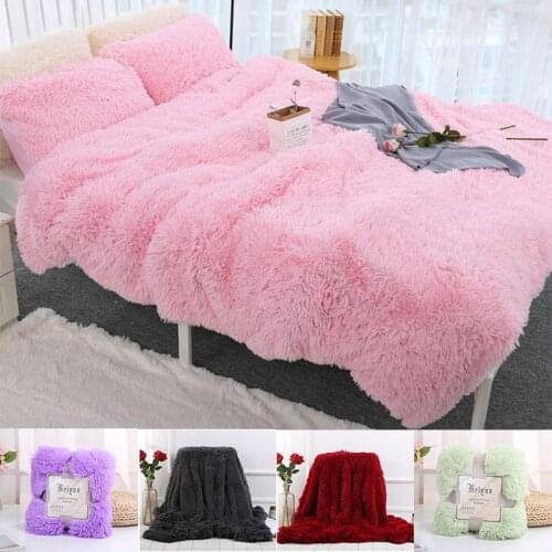 Warm and Comfortable Bedding Blankets Furry Super Soft Coral Fleece Blankets Fluffy Sofa Bedding Children Blankets