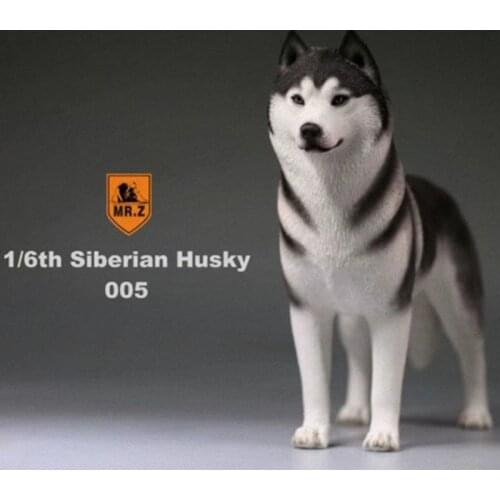 1/6 Scale Mr.Z Husky Siberian Husky Simulation Animal Dog Model Toy For 12' Action figure PARTS Home Car Decoration BOYS toys