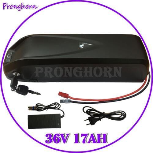 36 Volt Electric Hailong Battery 36V 9Ah 10Ah 12Ah 13Ah 15Ah 16Ah 17Ah 18Ah 20Ah 21Ah E-Bike Lithium Battery Pack with BMS+Charg