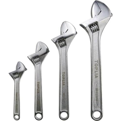 TOPLIA Spanners