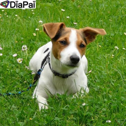 DIAPAI Diamond Painting "Animal Dog grass" Cross Stitch Custom Photo Diamond Embroidery Square Round Drill Home Decor A26175