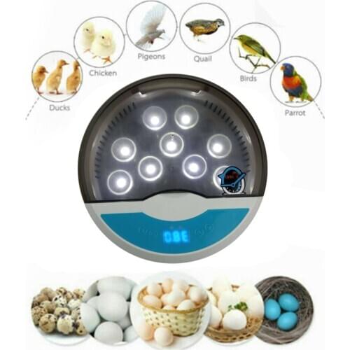 Egg Incubator, 9 Digital Fully Automatic Incubator for Chicken Eggs, Poultry Hatcher for Chickens Ducks Goose Birds