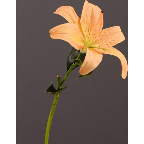 MBF Artificial Lilies