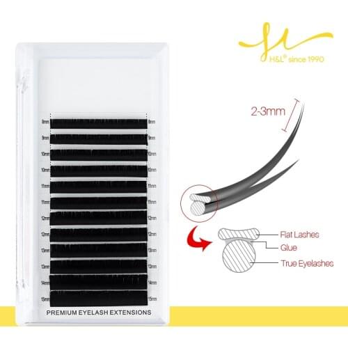 H&L SINCE 1990 Flat Ellipse Eyelashes Maquiagem Split Tips Ellipse Shaped Natural Light Magnetic Eyelash Extension