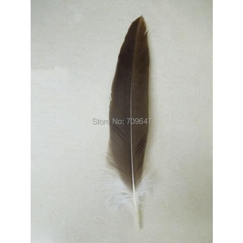 10Pcs/Lot!35-40cm/14-16inches Natural Eagle Feathers,Various Plumes for DIY Jewelry,Collectibles,Performances
