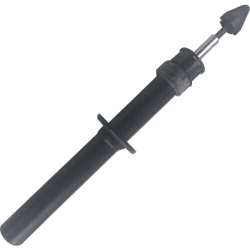 Front Left / Right Air Suspension Strut Shock Aborber For BMW X5 E70 X6 E71 31316783016