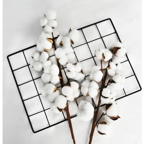 10heads/bouquet White Dried Flowers Natural Cotton Flower Branch Decorations for Home Gardening Craft Wedding Floral Decor
