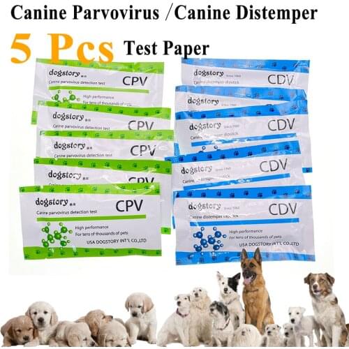 5PCS Canine CDV CPV Distemper Test Paper Kit Raid Strip Card Pet Dog Home Clinic Use Health Detection For Teddy Veterinary