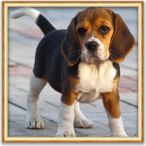 Animal Dog Beagle DIY Embroidery Cross Stitch 11CT Kits Craft Needlework Set Cotton Thread Printed Canvas Decoration Wholesale