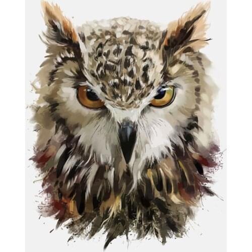 Sharp Eyes of The Owl Car Sticker Automobiles Motorcycles Exterior Accessories PVC Decals,16cm*12.8cm