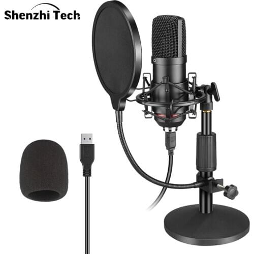 SHENZHITECH Stage Sound Equipment