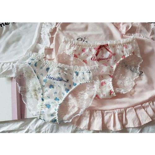 Romanctic Rose Cute Sexy Girls Lace Chiffon Panties Briefs Womens Underwear Kawaii Daily Wear Pantsu Characters