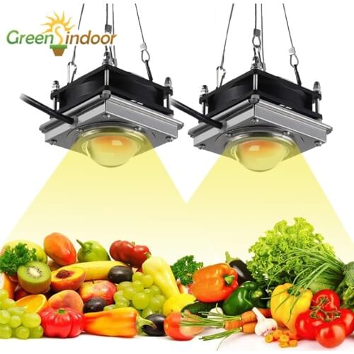 COB Led Grow Light Full Spectrum Phyto Lamp For Plants For Indoor Herbs Flowers Growth Flowering Grow Tent Grow Lamp With Fan