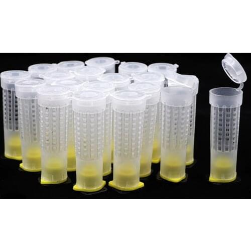 60 Sets Queen Bee Protection Cages Beekeeping Rearing Cup Kit Queen Bee Hair Roller Cages Cell Fixtures Beekeepers Equipment