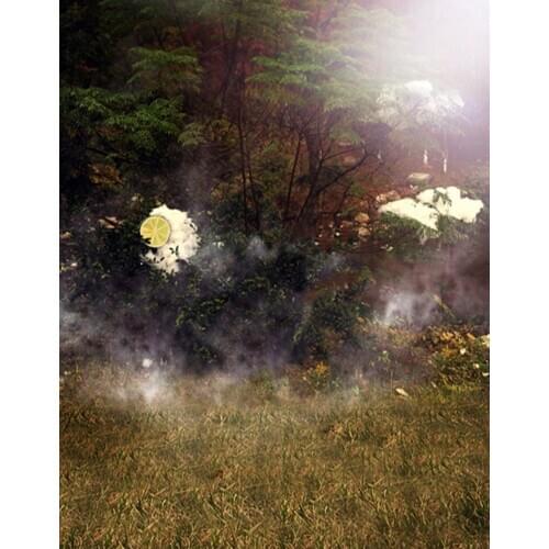 Landscape Fog Tree Photography Backdrops Photo Props Studio Background 5x7ft