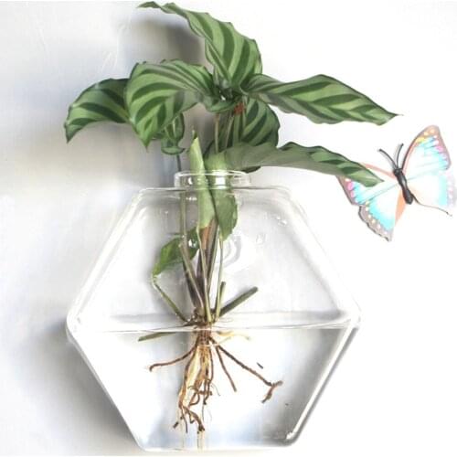 Wall Hanging Hydroponic Glass Vase Transparent Fish Tank Green Plant Plant Pot Creative Home Wall Hanging Decorations