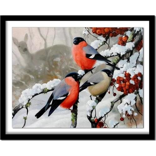 Diamant painting Diamond embroidery animals bird 5d diy diamond painting full square pictures of rhinestones 512DD diamond