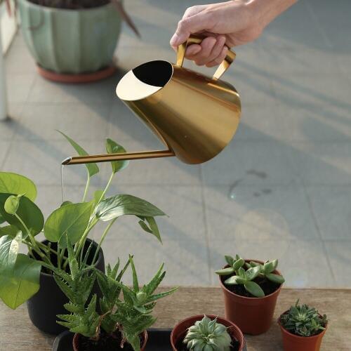 Gold Watering Can For Plant Indoor Garden House Flower Succulents Long Spout Stainless Steel Watering Pot Bonsai Tools 3 Size