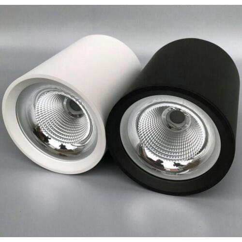 8pcs/lot) New Arrival 20W/30W Dimmable LED Downlight COB LED Spot light LED Ceiling Lamp Free shipping