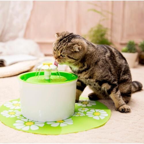 Jianyana Products For Dogs