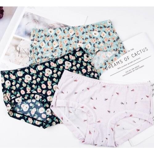Ultra-thin Japanese Ice Silk Underwear Womens Cotton Crotch Seamless Breathable Mesh Printed Milk Silk Sweet Low-rise Underwear