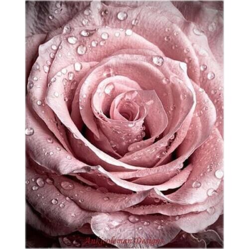 Needlework for embroidery DIY DMC High Quality - Counted Cross Stitch Kits 14 ct Oil painting - The Dew Rose