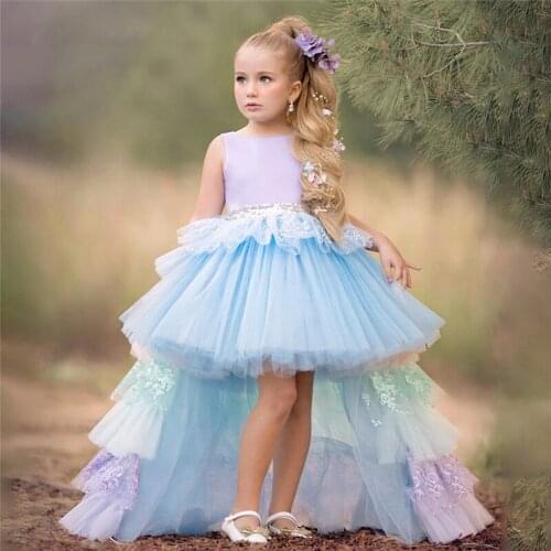 Luxury Baby Girl Birthday Party Dress Layers Tulle Lace Flower Girl Dresses Hi-Low Princess Dress First Communion Gowns