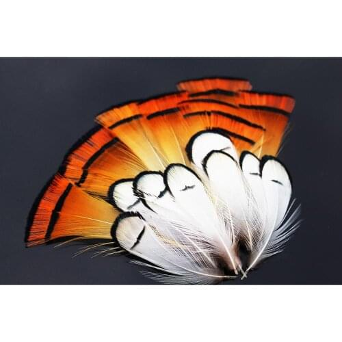 Tigofly 50 pcs/lot White Golden Natural Color Pheasant Head Crest Feather Fly Tying Materials