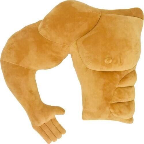 VACHICHI Plush Pillows