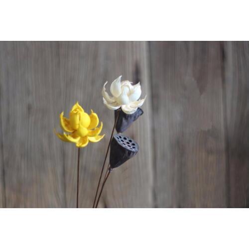 5pcs White/Yellow Lotus Water Lily Dried Flower For Wedding Party Home Hotel Decoration DIY Bouquet Project Accessory