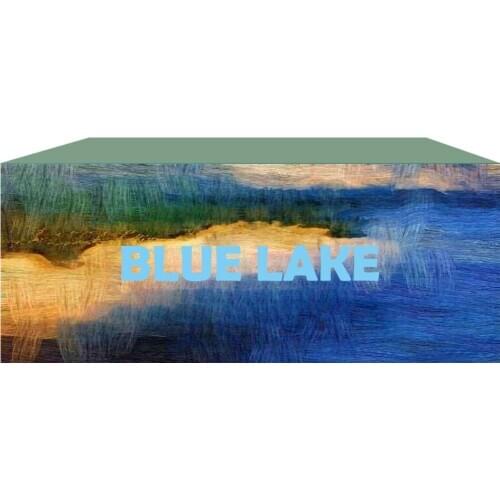 Dinning fitted Plain Dyed Table Cover for Hotel Birthday rectangular table decoration customize design