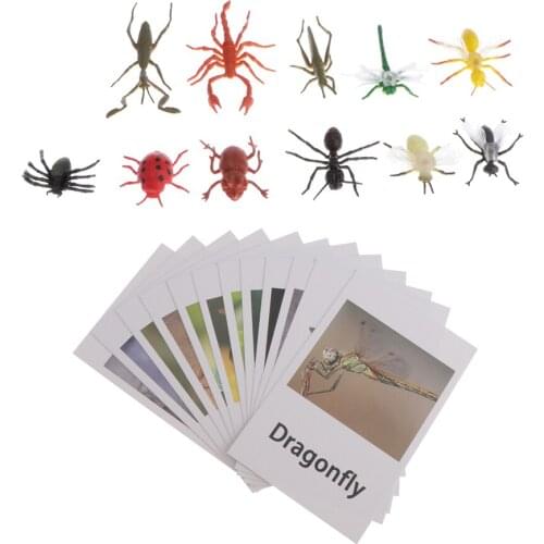 Montessori Animal Match Cards And Figurines - 12 Pieces Miniature Insect Model