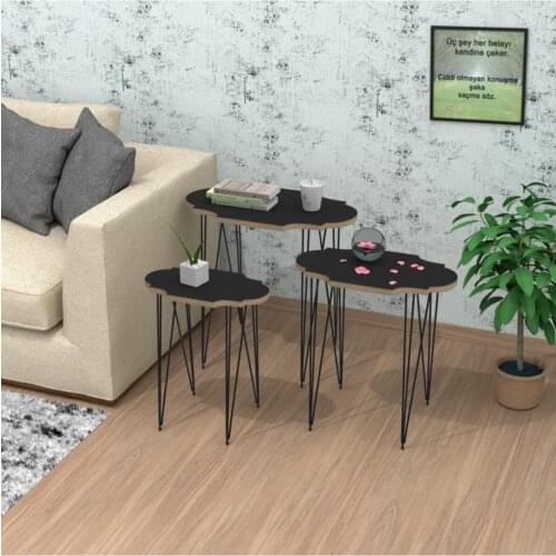 Modern Fish Larose Zigon Coffee Table Mdfsyh pcs set 50*50*33-45*40*26-40*30*20 coffe table