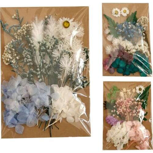 Natural Dried Flowers Dried Pressed Flowers Leaves Bulk For DIY Scented Candle Epoxy Resin Crafts Handmade Jewelry Accessories