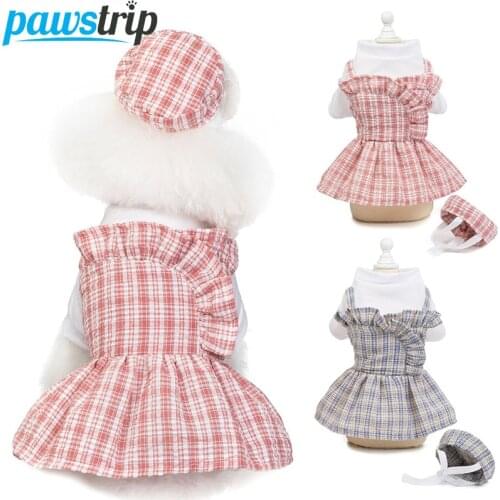 Pawstrip Princess Dog Dress Summer Dog Clothes Puppy Skirt Chihuahua Pomeranian Clothing Pet Puppy Dresses For Small Dogs XS-XL