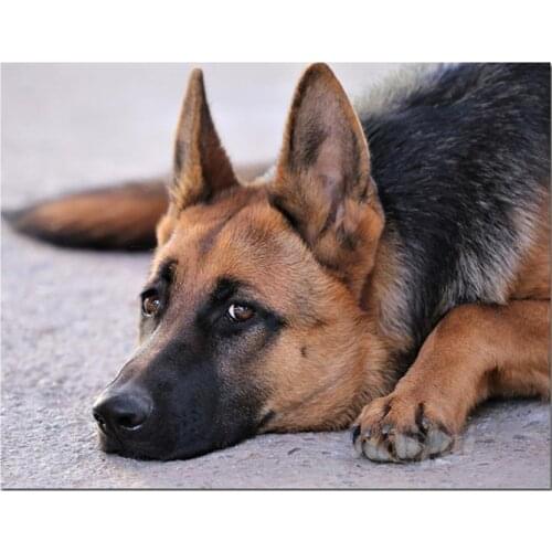 Dog German Shepherd Diamond Painting animals Square Full Drill Novelty DIY Mosaic Embroidery 5D Cross Stitch home decor gifts
