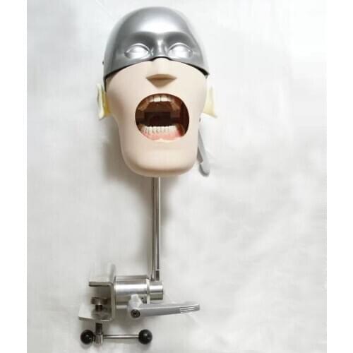 Dental Stainless Steel Simple Head Model apply to the oral cavity simulation training