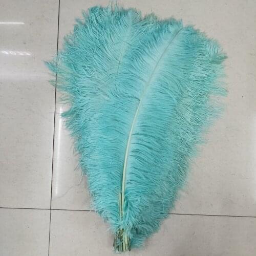 100 Pcs/lot High Quality Mint Green Ostrich Feather 65-70cm Feathers Carnival Costumes Party Home Wedding Decorations Plume